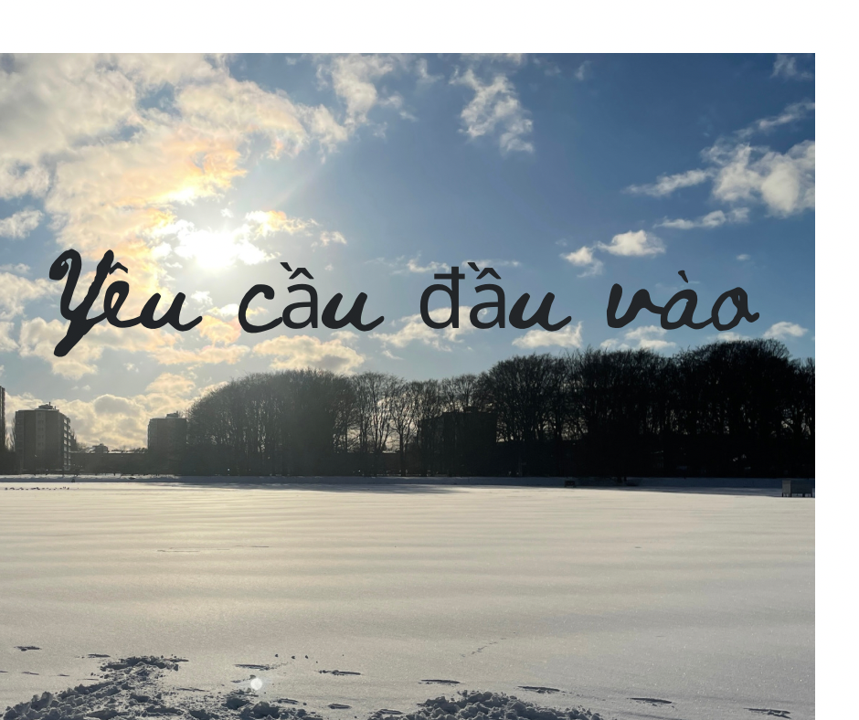 Yêu cầu đầu vào bậc đại học ở Thụy Điển?