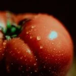 Bí quyết tự trồng rau củ và trái cây tại Thụy Điển