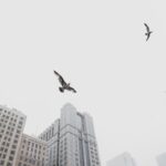 Những khu vực đáng sống nhất tại Stockholm theo bình chọn của cộng đồng người nước ngoài